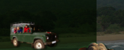 kataragama safari bungalow